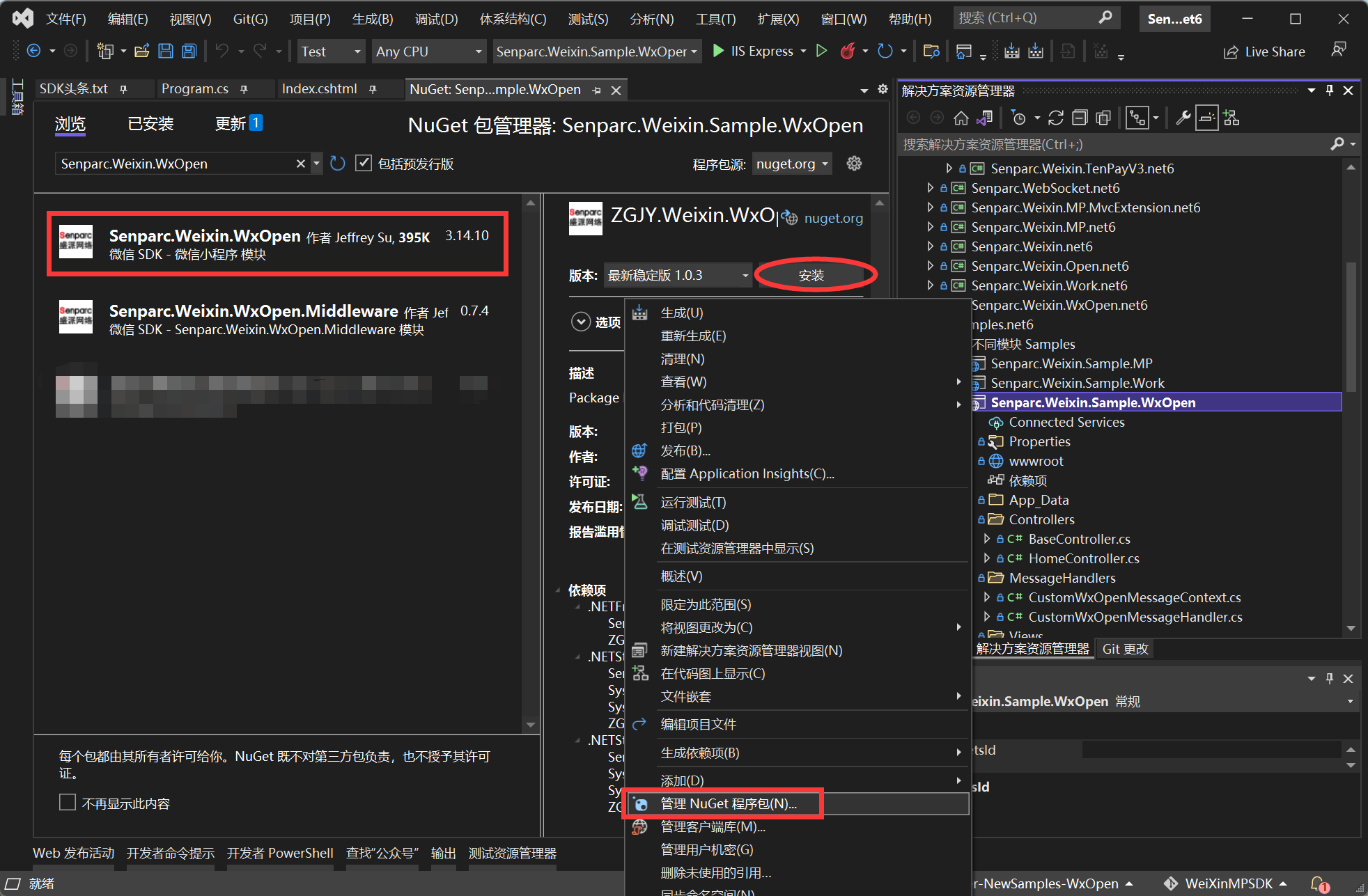 通过 Visual Studio 安装