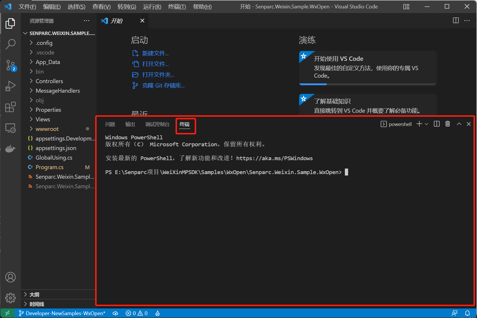 通过 VS Code 安装